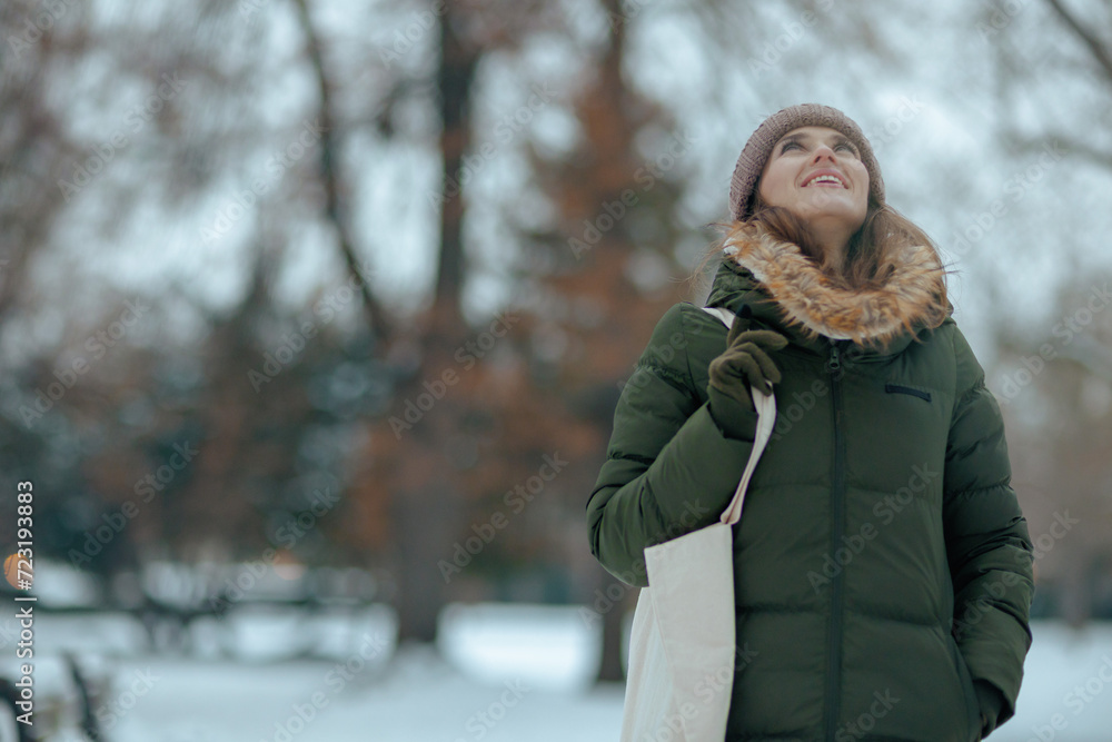 smiling modern female outdoors in city park in winter smiling modern female outdoors in city park in winter