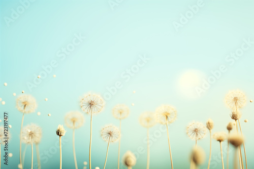 Serene view of dandelions against soft sunset sky