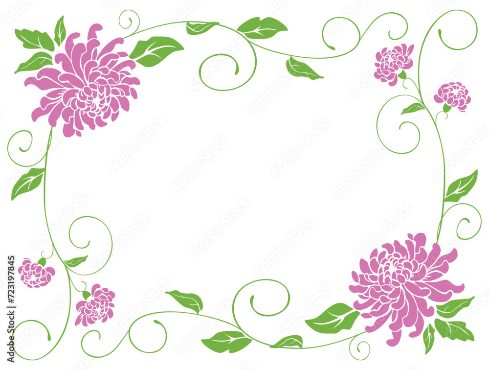 Decorative vector floral frame from pink chrysanthemums with green leaves,tendrils, decoration for greeting cards, invitations