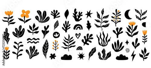 Organic boho floral shapes set abstract plants