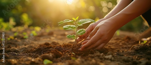 Human hands planting sprouts of tomatos in greenhouse. Concept of farming and planting. AI generated illustration