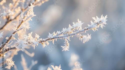 A chilly frosty morning. © Leo