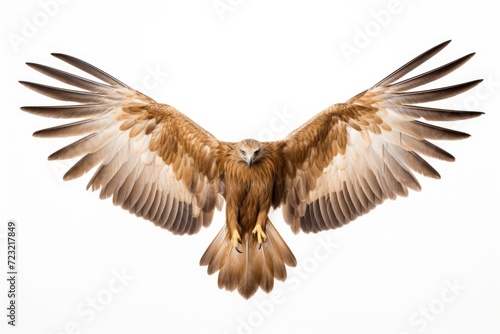 A picture capturing the graceful flight of a large brown bird. Perfect for nature enthusiasts and birdwatchers