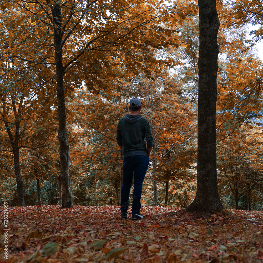 man trekking in the mountain in autumn season man trekking in the mountain in autumn season