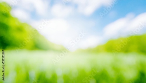 beautiful blurred background image of spring nature with sunny sky green nature and blue skies