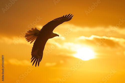 Majestic Eagle Silhouette Soaring at Sunset