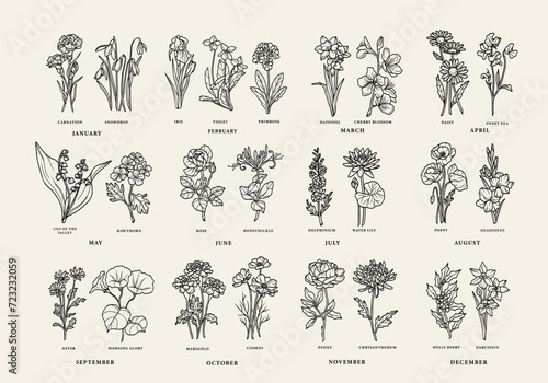 Line art birth month flowers collection