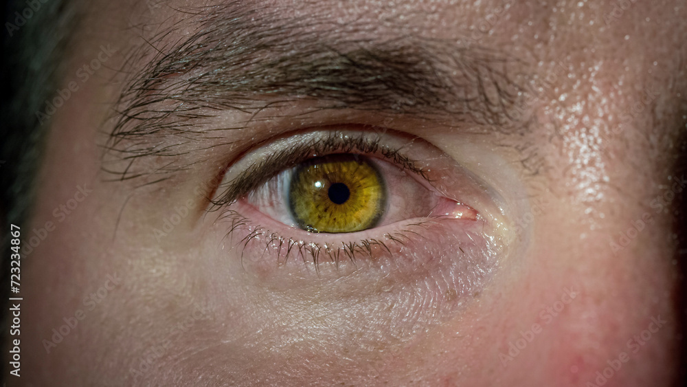 Human eye movement, opening and blinking of a male eye with brown iris