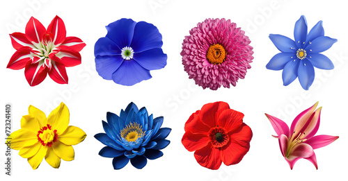 Set of various exotic tropical blooming flowers isolated on transparent background. Generative AI