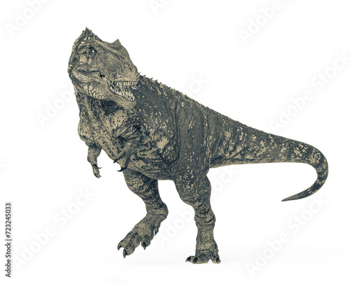 giganotosaurus is walking and also looking back on white background