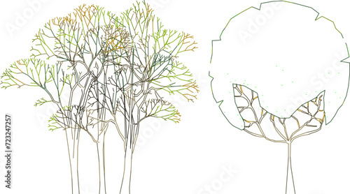 vector illustration design, collection of simple tree plant sketches for graphic completeness 