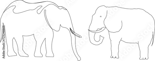 Vector sketch illustration design of collection of elephant animals on the grassland