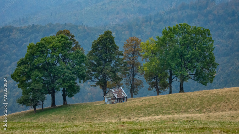 A wooden sheepfold in a beautiful pasture, surrounded by beech forests. Autumn season. The cabin is located in a glade surrounded by autumn colored trees. Paltinis, Carpathia, Romania.