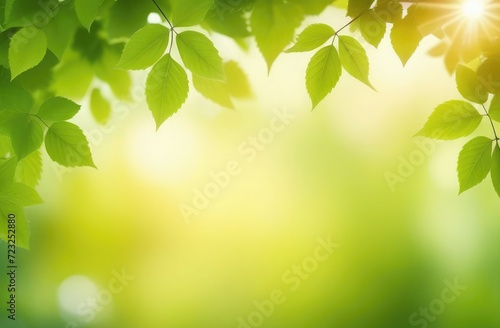 spring background of fresh green leaves in spring sunny day. Empty space for text