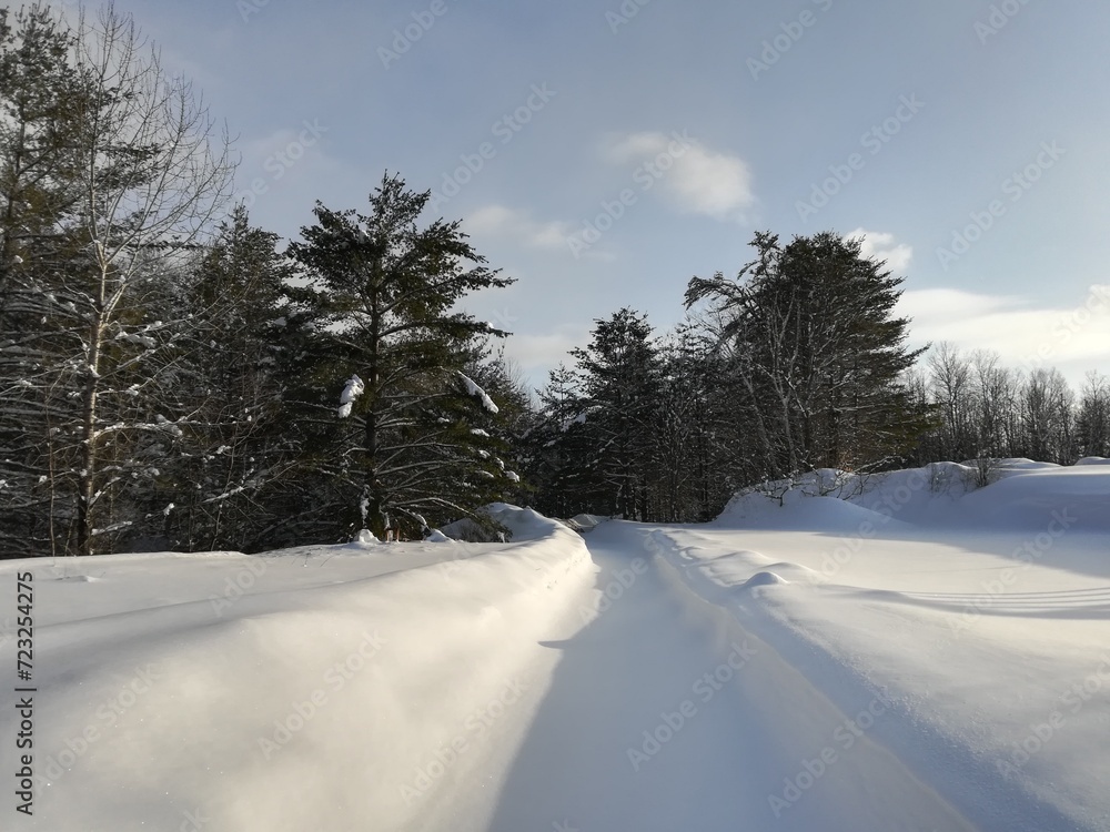 Obraz premium snowy path with trees and blue sky.