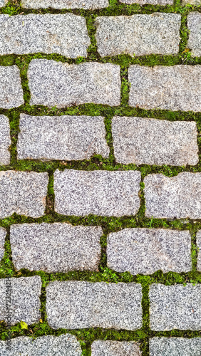 Green grass sprouted between bricks of cobblestone path, top view. Concept of harmonious fusion of city and nature