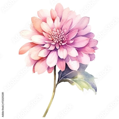 watercolor flowers  illustrations in handmade watercolor style on a white background  generative ai 
