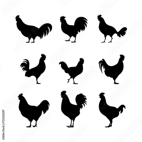 Chicken black silhouette. Different types of hen silhouette set and vector art