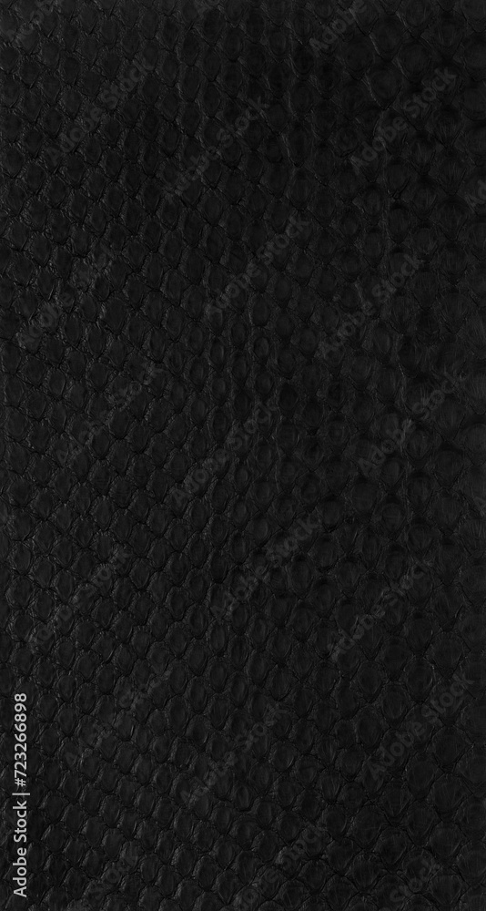 black python Exotic texture
black python Exotic texture