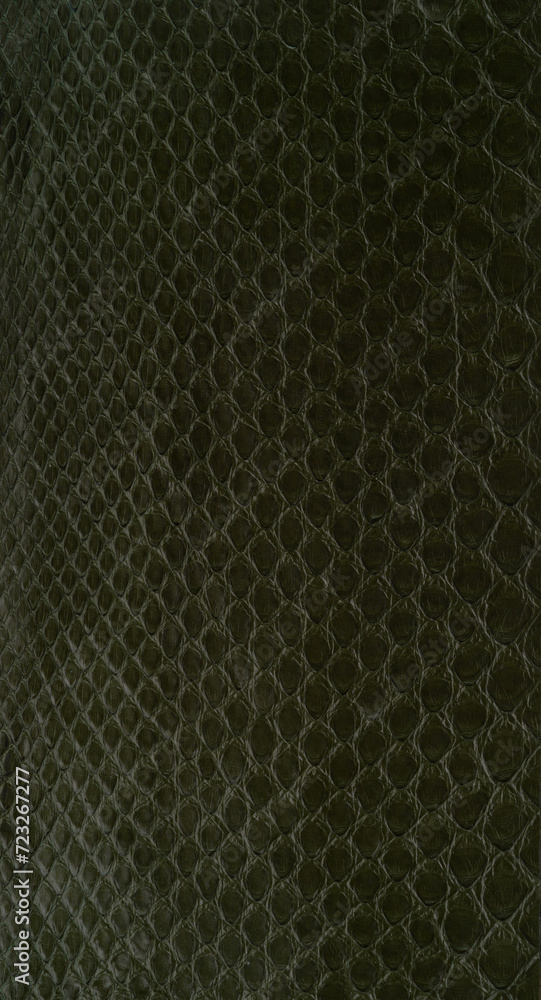 snakes leather texture