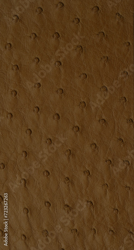 Brown Exotic ostrich texture
 (ID: 723267263)
