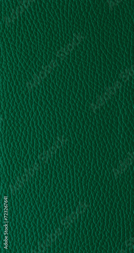 green leather texture (ID: 723267641)