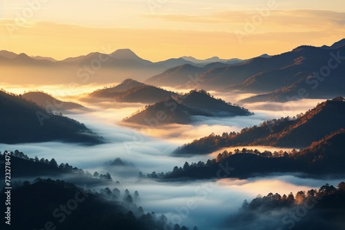 Sunrise in misty foggy mountains and forest. Beautiful natural landscape.