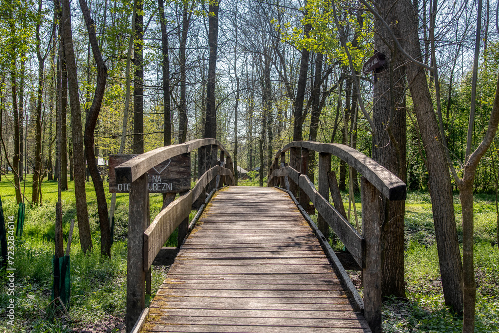 old wooden bridge across the Creek in the woods old wooden bridge across the Creek in the woods