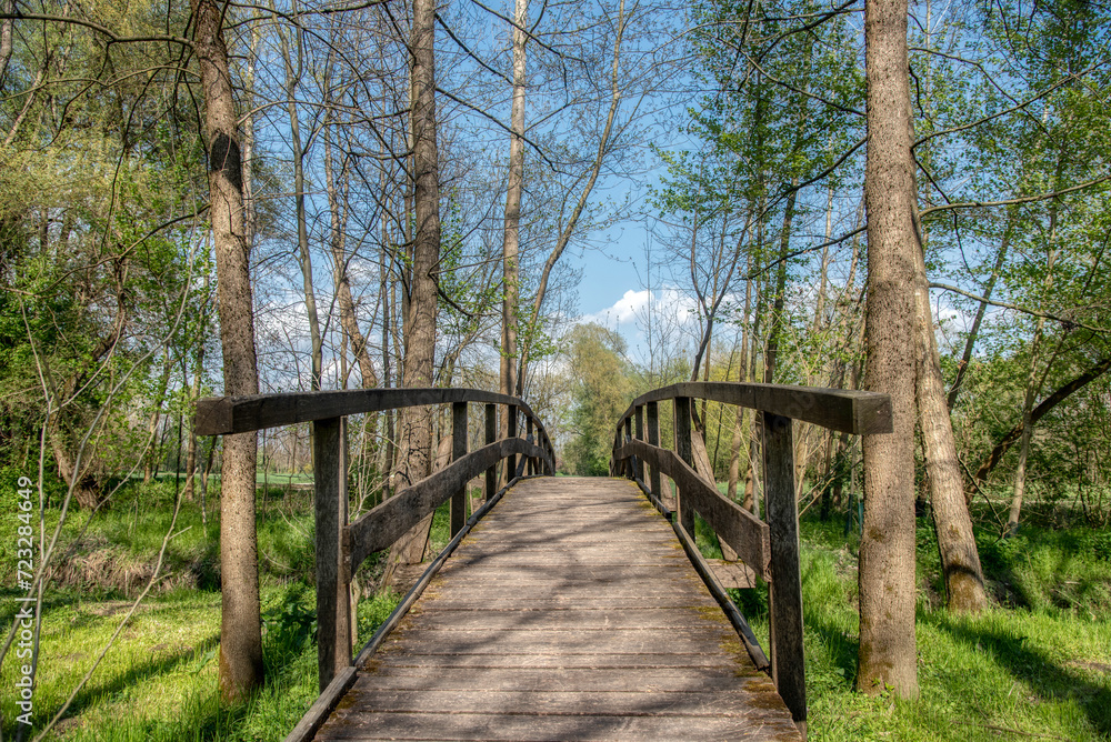 old wooden bridge across the Creek in the woods