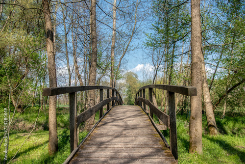 Fototapeta Naklejka Na Ścianę i Meble -  old wooden bridge across the Creek in the woods