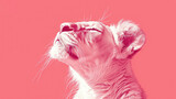  a close up of a cat's face on a pink background with the caption of the cat's name on the bottom right side of the image.