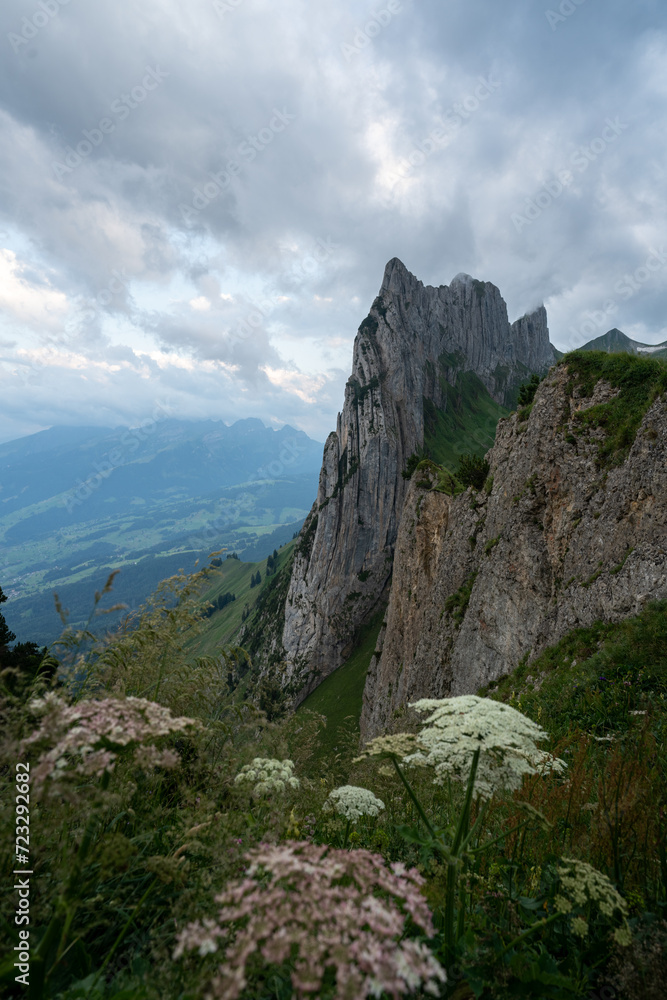 Majestic cliffs in Appenzell with foreground wildflowers Majestic cliffs in Appenzell with foreground wildflowers