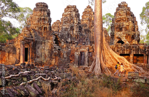 Long roots of a giant banyan among the ancient ruins of Angkor Wat in Cambodia