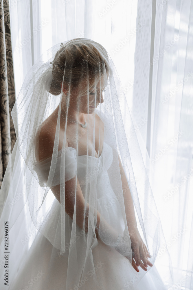 Beautiful young bride holding veil in white wedding dress, portrait of brunette bride in hotel room, morning before wedding. Beautiful young bride holding veil in white wedding dress, portrait of brunette bride in hotel room, morning before wedding.