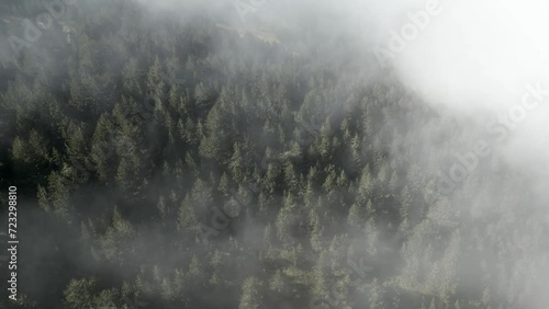 Aerial footage over the trees covered by mist in the mountain forest nature. This nature landscape aerial shot is made with a dji mini 3 pro in Olympus mountains, Greece, with a mist starting to cover photo