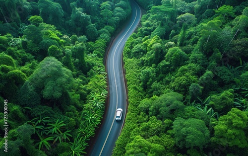 Aerial view of winding road in green tropical forest with car on the road