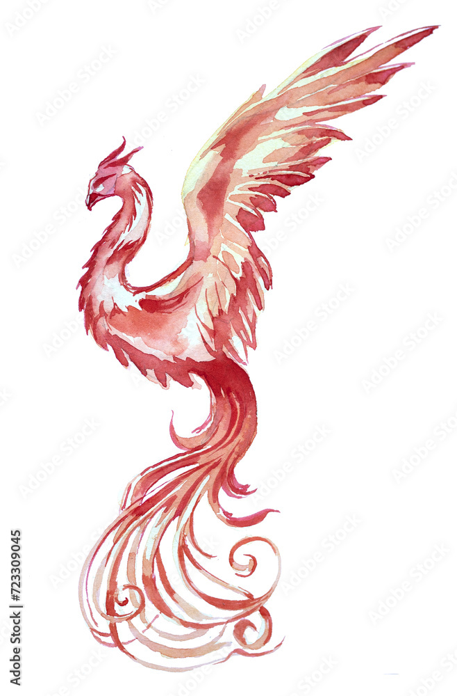 Obraz premium Phoenix watercolor painting. Magical creature watercolor artwork. Phoenix illustration. Wizard's world concept. Fantasy themed clipart isolated on a white background.