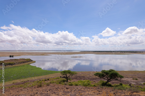 Amboseli lake landscape with reflecting clouds 