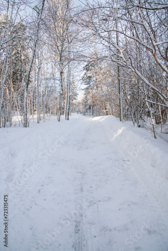 snow covered road © MarteJohannessen