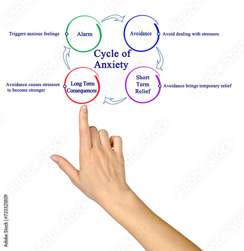 Components of Cycle of Anxiety