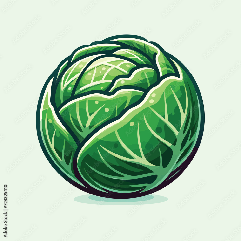 Fresh Green Cabbage Cartoon Illustration Fresh Green Cabbage Cartoon Illustration