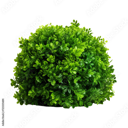 Green bush clip art