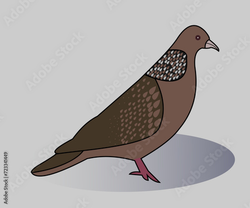 illustration of a bird