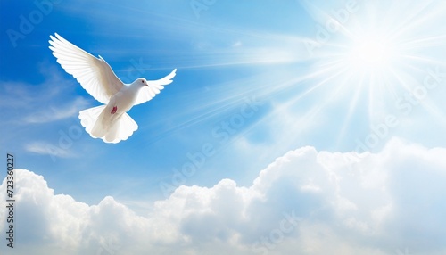 sky funeral background with white dove copy space for text