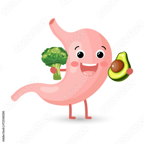 Strong healthy happy stomach with broccoli and avocado. Flat cartoon illustration icon design. Digestive tract, healthy eating, stomach concept.