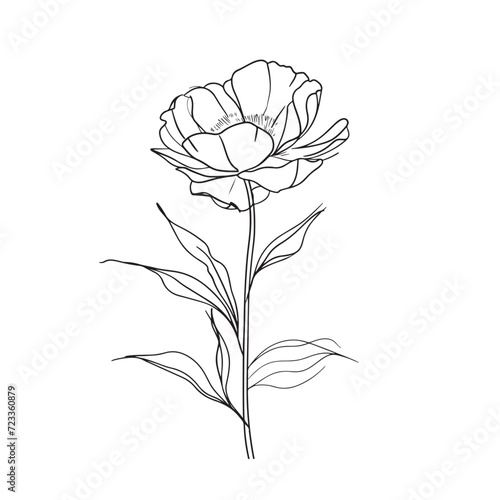 Elegant line drawing of a pretty peony flower. Illustration for invites and cards