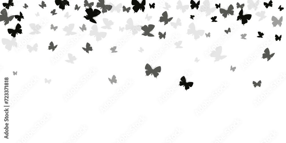 Tropical black butterflies cartoon vector background. Summer little moths. Wild butterflies cartoon dreamy wallpaper. Tender wings insects graphic design. Fragile creatures.