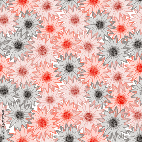 Chamomile colorful summer repeat pattern. Osteospermum blossom with