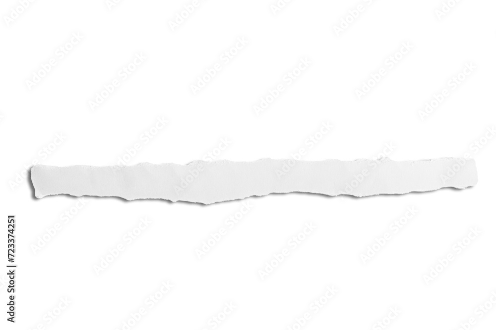 A piece of torn white paper with jagged edges against a tangled background. A piece of torn white paper with jagged edges against a tangled background.