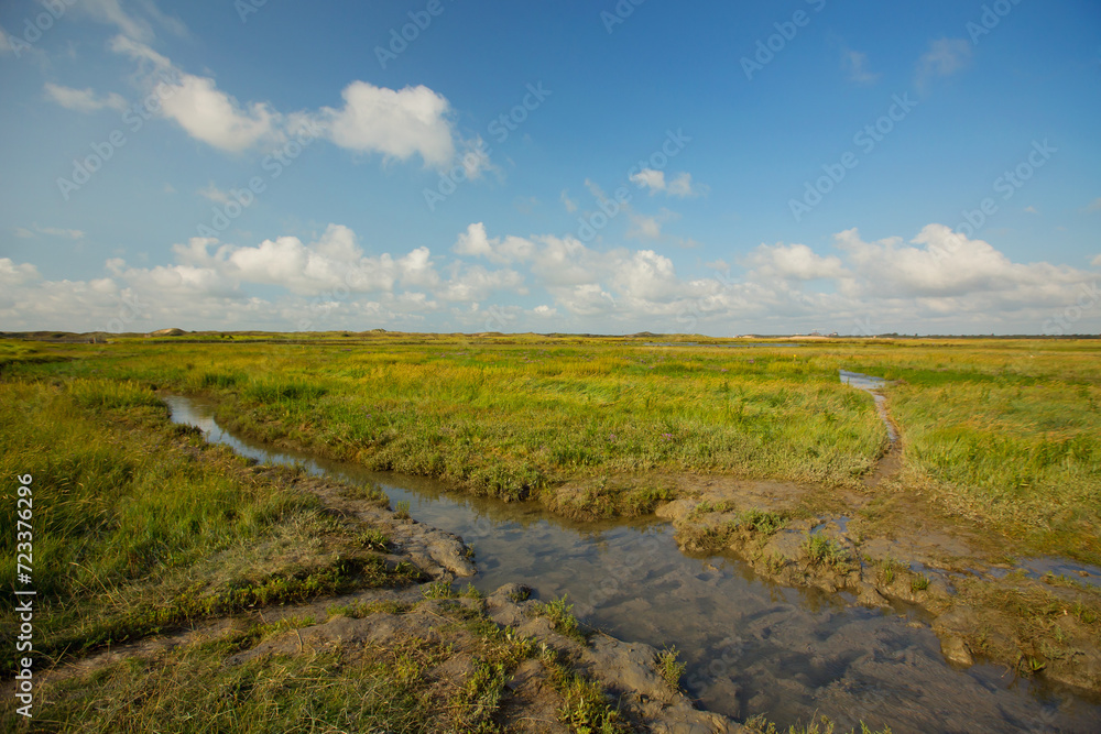 View at Het Zwin wildlife reservation , Belgium